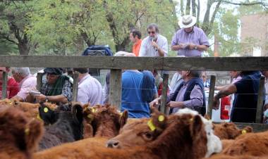 Ganadera Salliqueló remata en Pringles