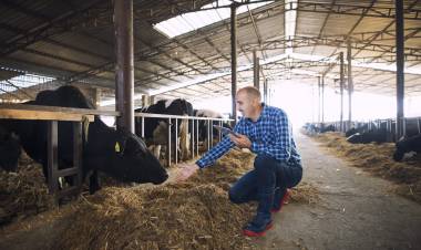 La ganadería no es enemiga de la agricultura