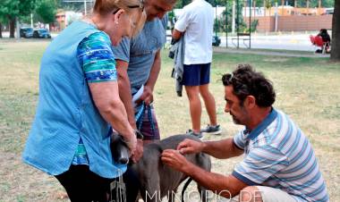 Buenos resultados en la primera campaña de este 2024 en nuestra ciudad