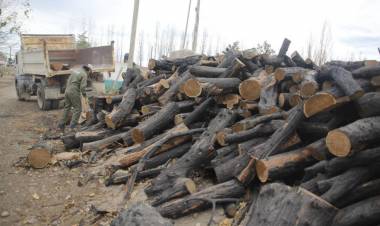 Banco Municipal de Leña: En junio comienza la entrega