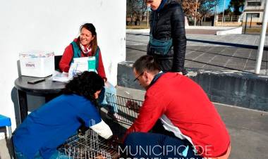 Campaña de Vacunación Antirrábica