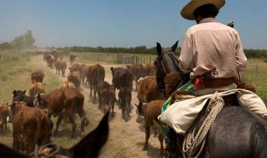Remate de Ganadera Salliqueló