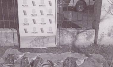 Coronel Pringles: Detuvieron a dos personas por faenar y robar 3 ciervos de un establecimiento rural