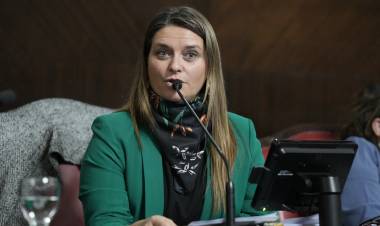 La senadora Neumann Losada reclamó la pavimentación de la Ruta Provincial N° 60