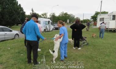 Castraciones y Vacunaciones