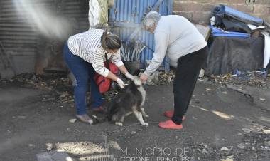 Vacunación en anillo en el Barrio Roca
