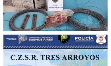 Allanamientos simultáneos por robo y faena en el establecimiento rural "La Dorita"