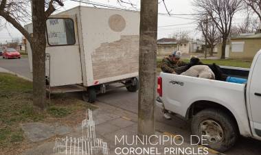 Castración  gratuita en Indio Rico