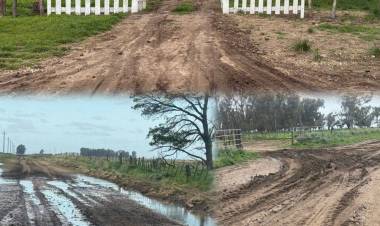 CPR: Dos establecimientos rurales de la Zona de Indio Rico fueron infraccionados por dañar caminos rurales
