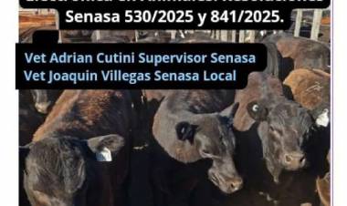 Nueva reglamentación de SENASA