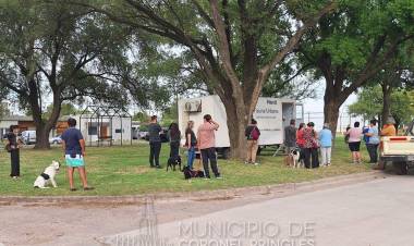 Resultados de la Campaña de Castración