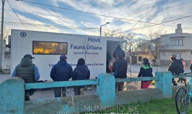 Resultados de una nueva jornada de castración y vacunación antirrábica
