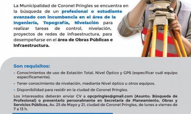 Búsqueda Profesional