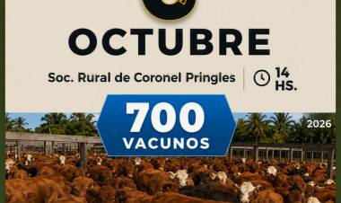 Remate Feria con 700 vacunos