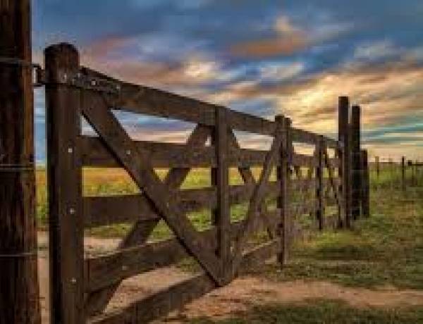 HCD: Solicitan la creación del Programa Municipal de Desarrollo Productivo Agropecuario Local