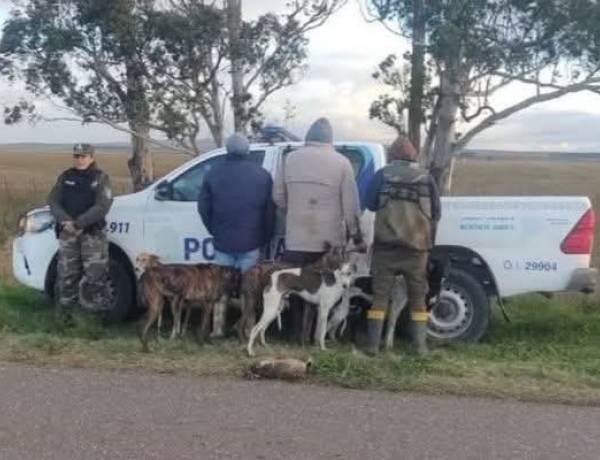 Stegmann: cazaban con galgos y los interceptaron