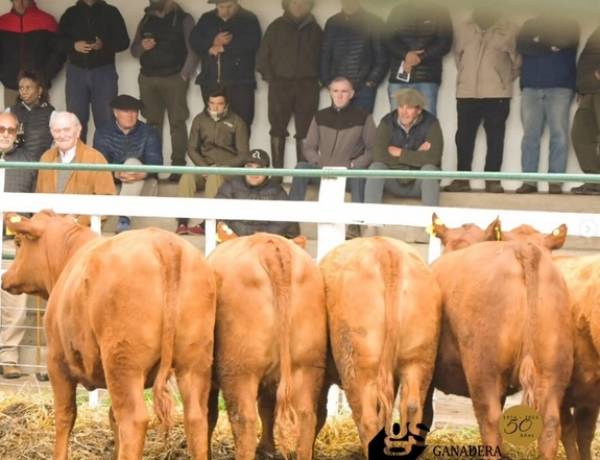 Remate con lotes destacados