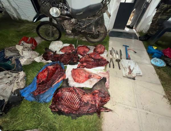 Hallazgo de un motovehículo y productos cárnicos de presunta procedencia de fauna silvestre