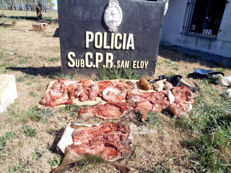 POLICIALES: Infraccionaron a pringlenses con 170 kilos de carne de jabalí