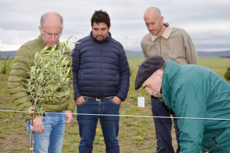 Matzkin visitó el Olivar La Loma