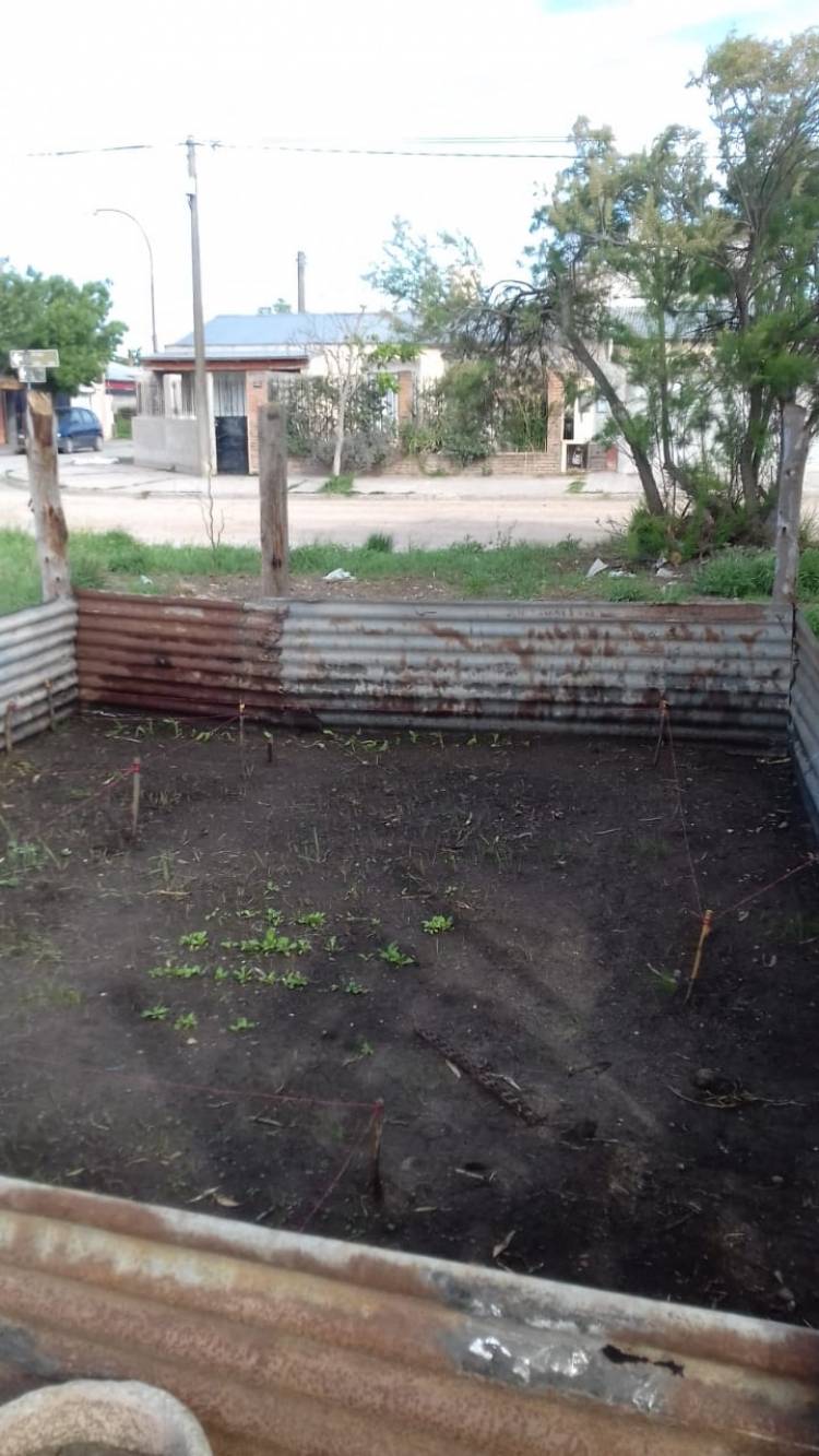 "Las huertas están en distintos puntos de avances"