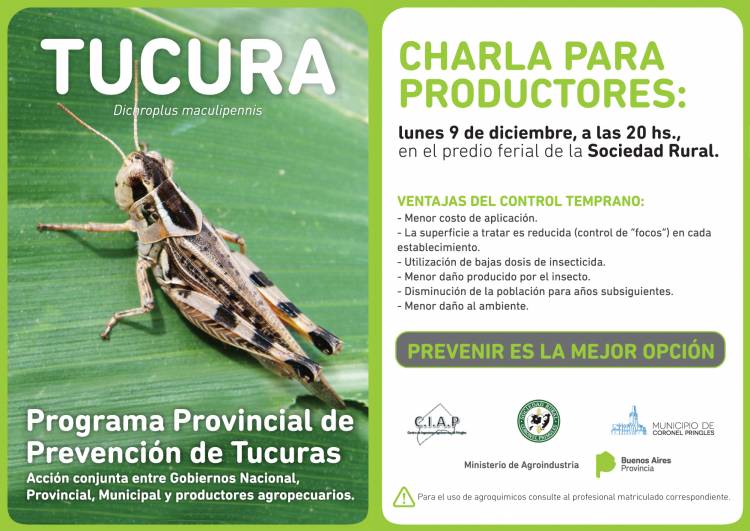 Convocan a productores locales para combatir la tucura