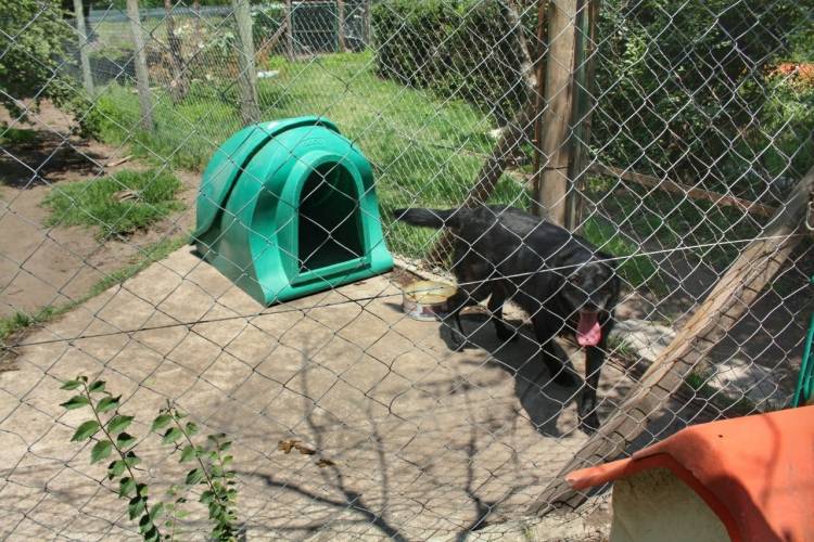 Una Tenencia Responsable digna de imitar