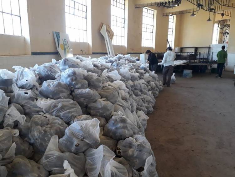 “Hemos entregado más de 10 mil kilos de papa”