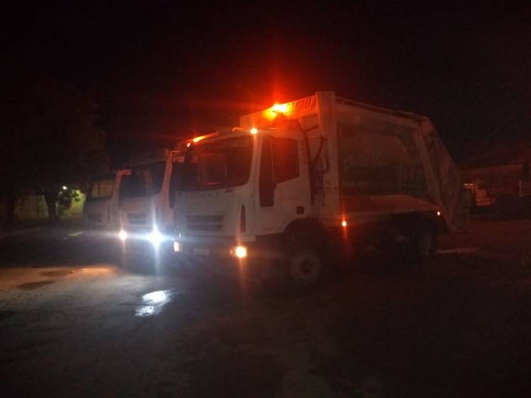 Recolección en Pringles