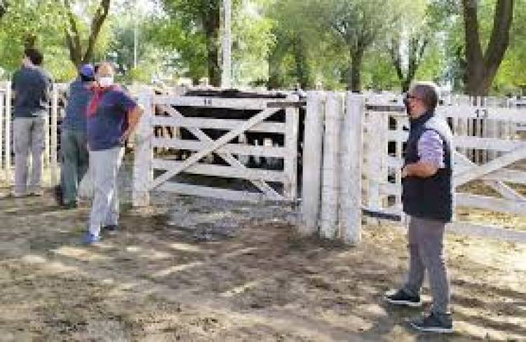 "Fue un remate ágil"