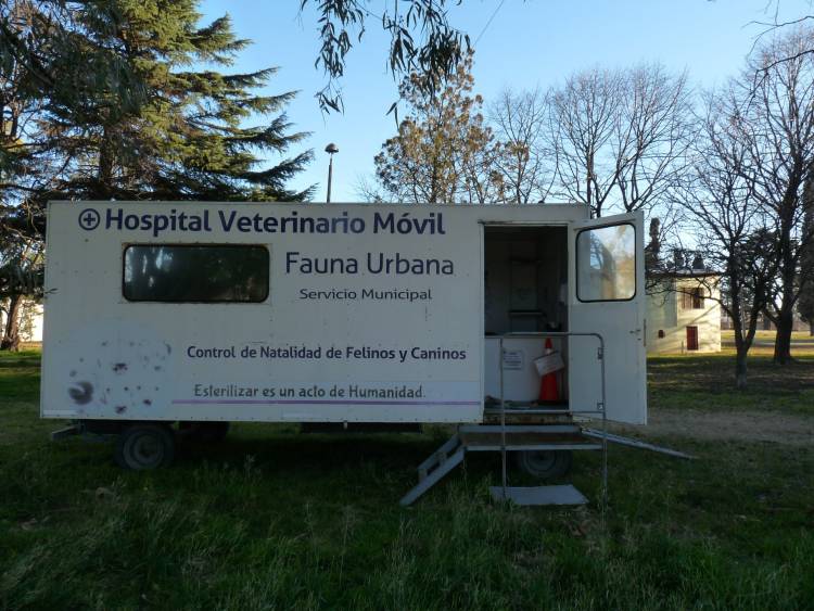 El Castrador Móvil ya está ubicado en el Prado Español