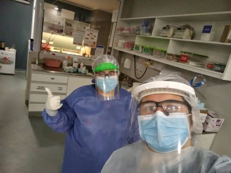 COVID-19: No hubo casos positivos y si nuevos recuperados
