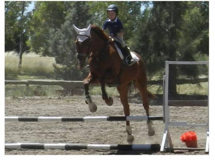 La Rural Equitación participó de un Encuentro de Salto