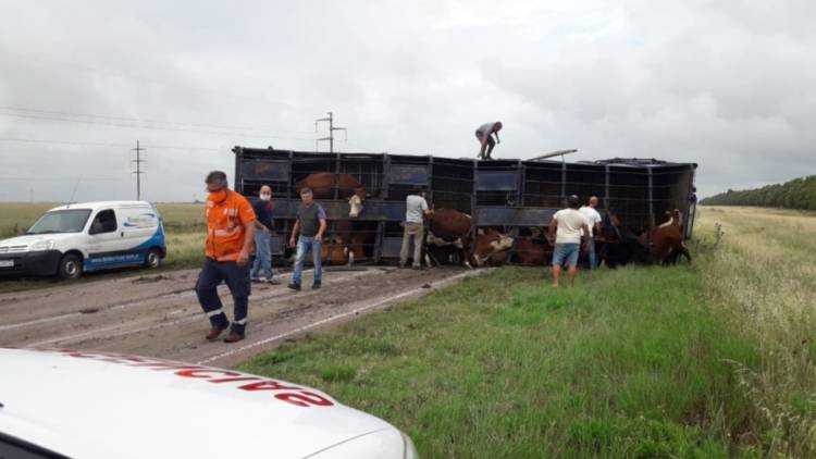 Cortaron la ruta 51 por el vuelco de un camión con hacienda