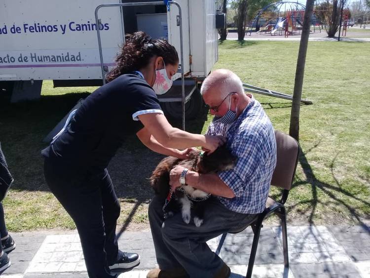 Los números del Castrador Móvil