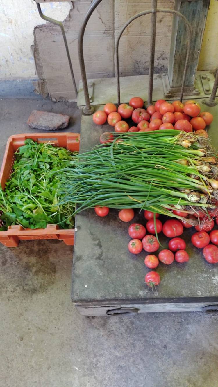 Producción de la Huerta Municipal