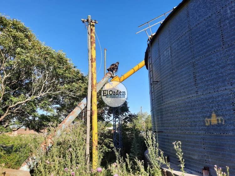 Roban en la planta cerealera de la firma Pucará