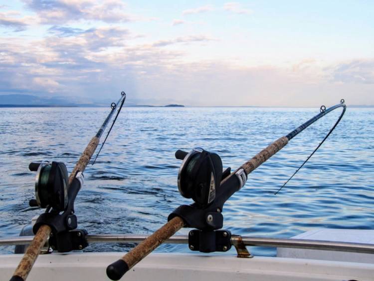 Balneario, pesca y verano