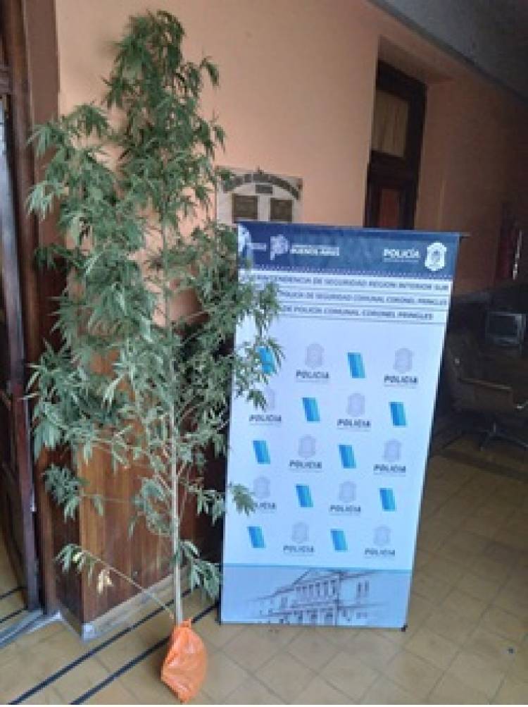 Averiguación Presunto Ilícito