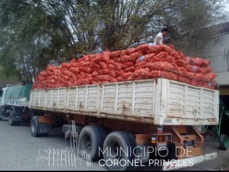 Donan más de 1000 bolsas de cebolla