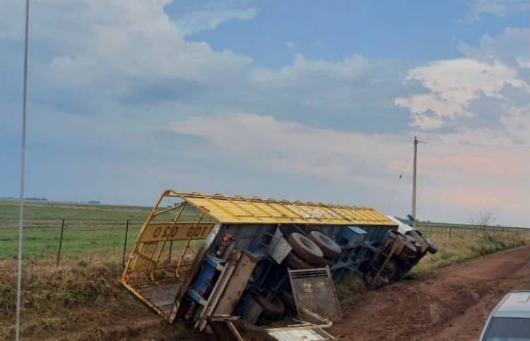 Volcó un camión y provocó el deceso de 14 animales