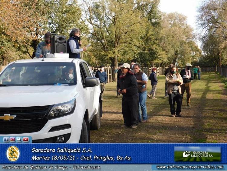 Ganadera Salliqueló rematará en la Exposición Ganadera local