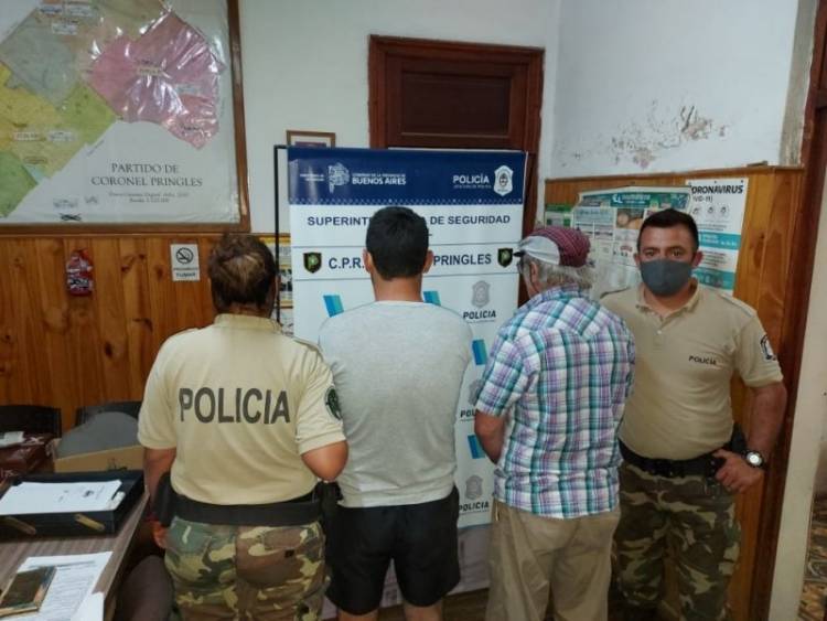 Dos aprehendidos por abigeato: llevaban ocho corderos en una camioneta