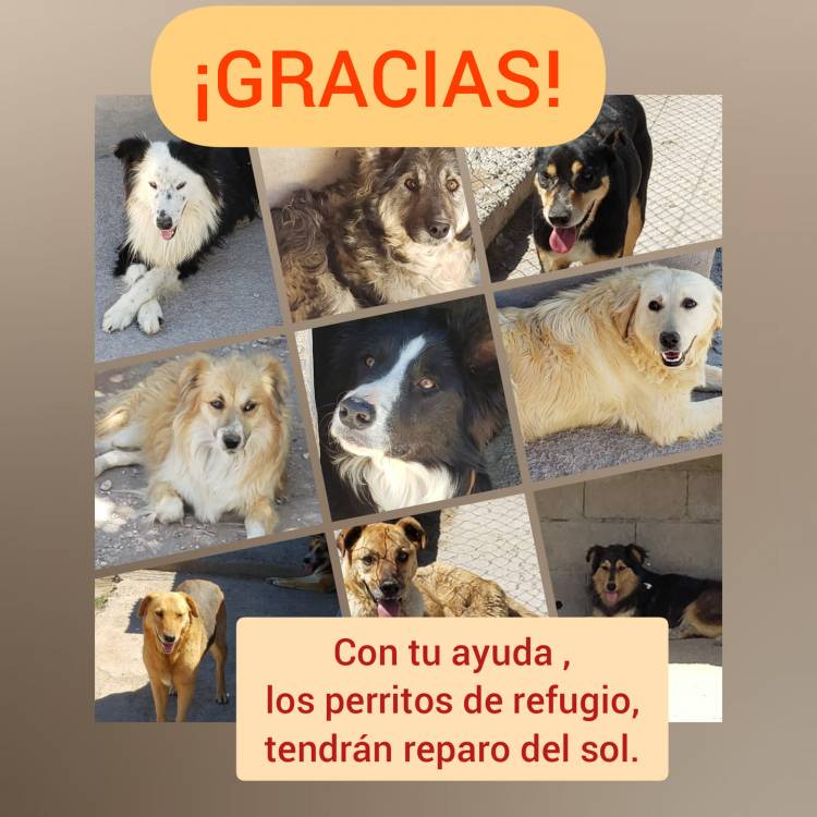 Entrega de un Rollo (50 metros) de Tela Mediasombra, al Refugio Canino Municipal