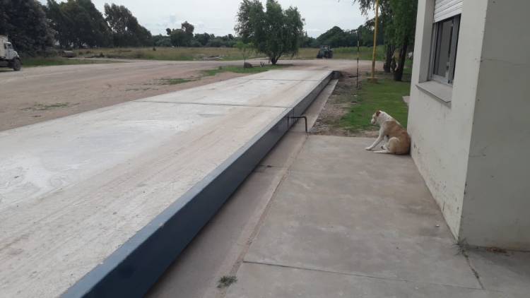 Se presentó la nueva balanza de la Sociedad Rural