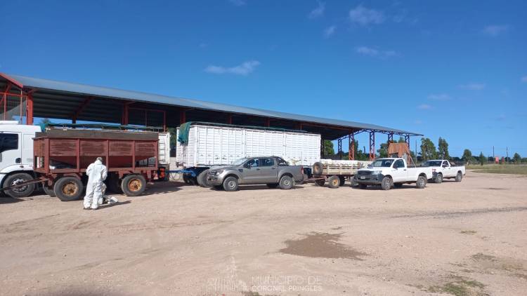 Campaña de recolección de envases vacíos de fitosanitarios