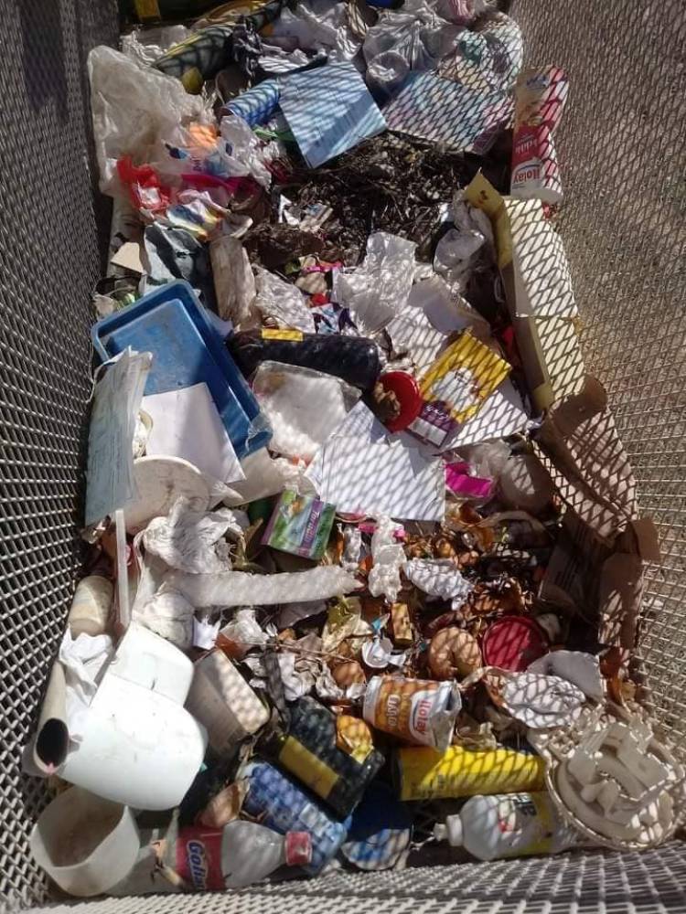 Residuos a granel y heces de perros en basuril de una institución