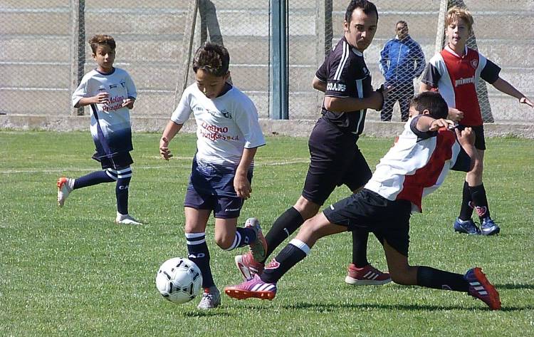 Liga Pringles de Fútbol: Boletín Oficial