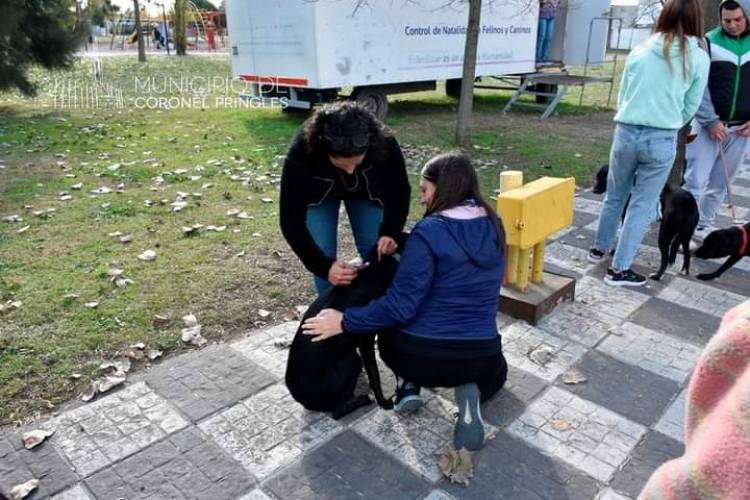 Vacunación Antirrábica