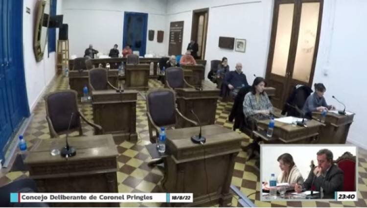 HCD Sesión Especial: "Un Concejal en Pringles gana entre 105 y 110 mil pesos, nos obliga la función pública"
